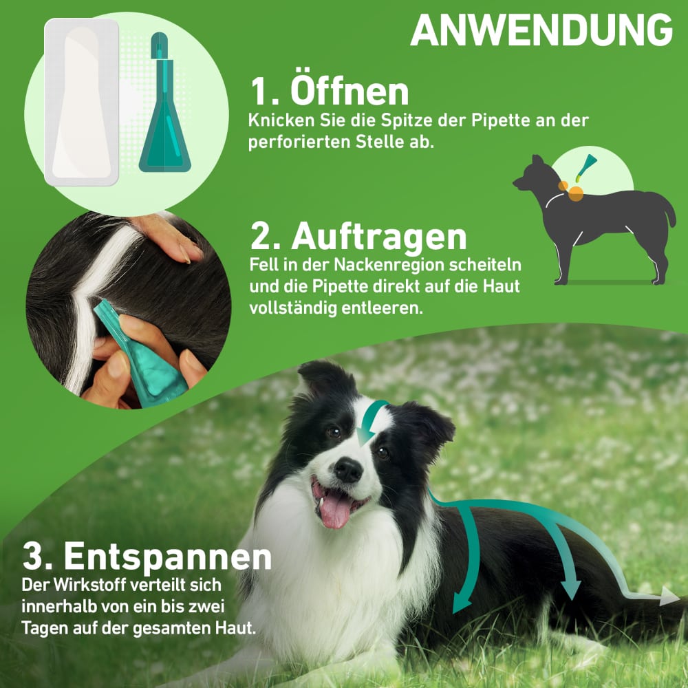 FRONTLINE COMBO gegen Zecken, Flöhe (Flöhe, Eier, Larven, Puppen) für Hunde S (5-10 Kg) 3 St Lösung
