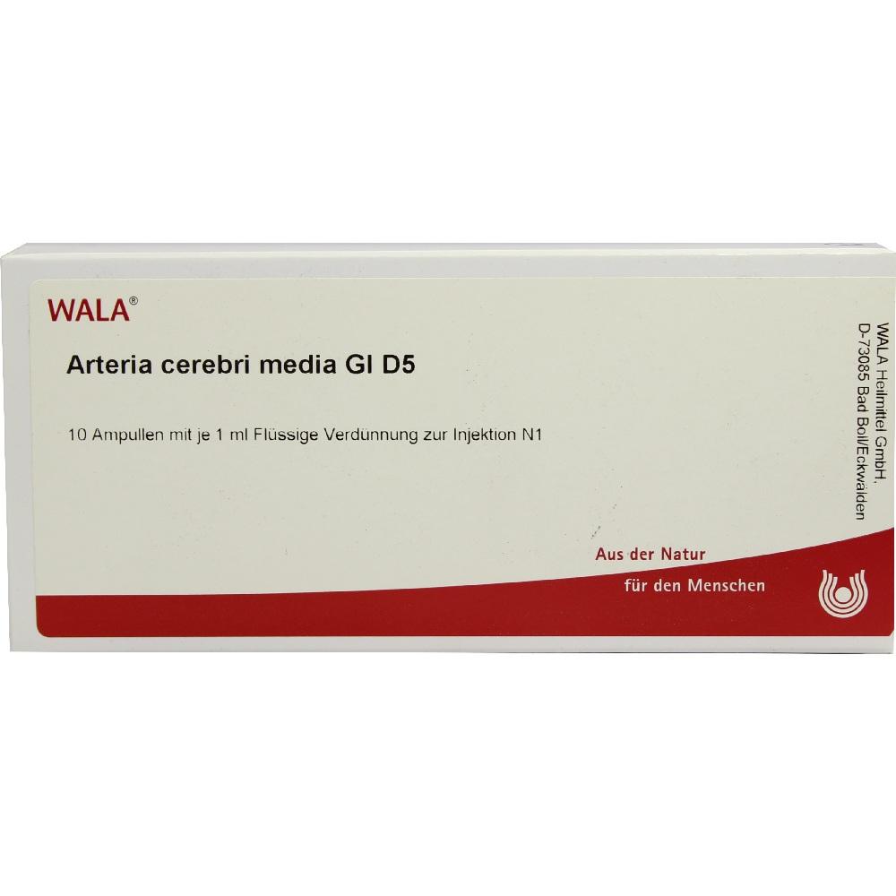 Arteria cerebri media GL D5 10X1 ml Ampullen