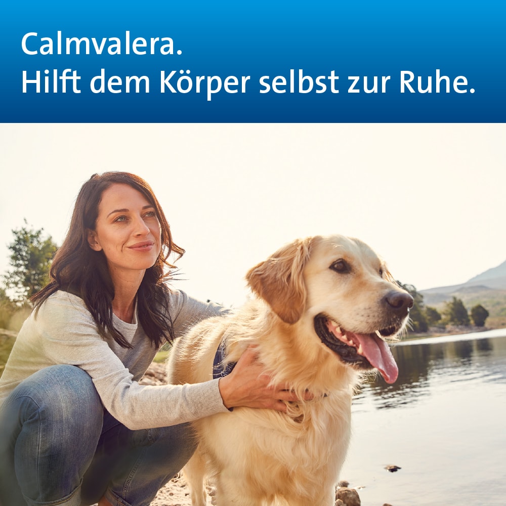 CALMVALERA HEVERT - Bei nervöser Unruhe und Schlafstörungen 200 St Tabletten