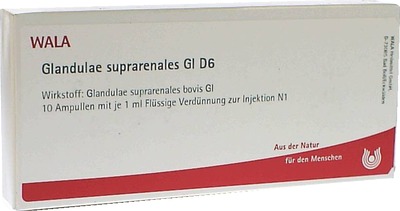 Glandulae suprarenales GL D6 10X1 ml Ampullen