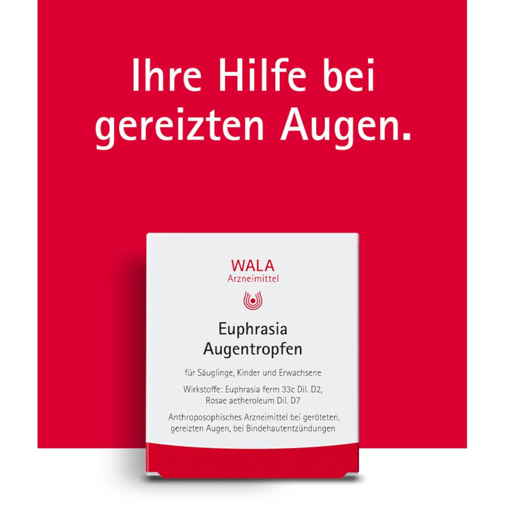 WALA Euphrasia Augentropfen 10X0.5 ml Augentropfen