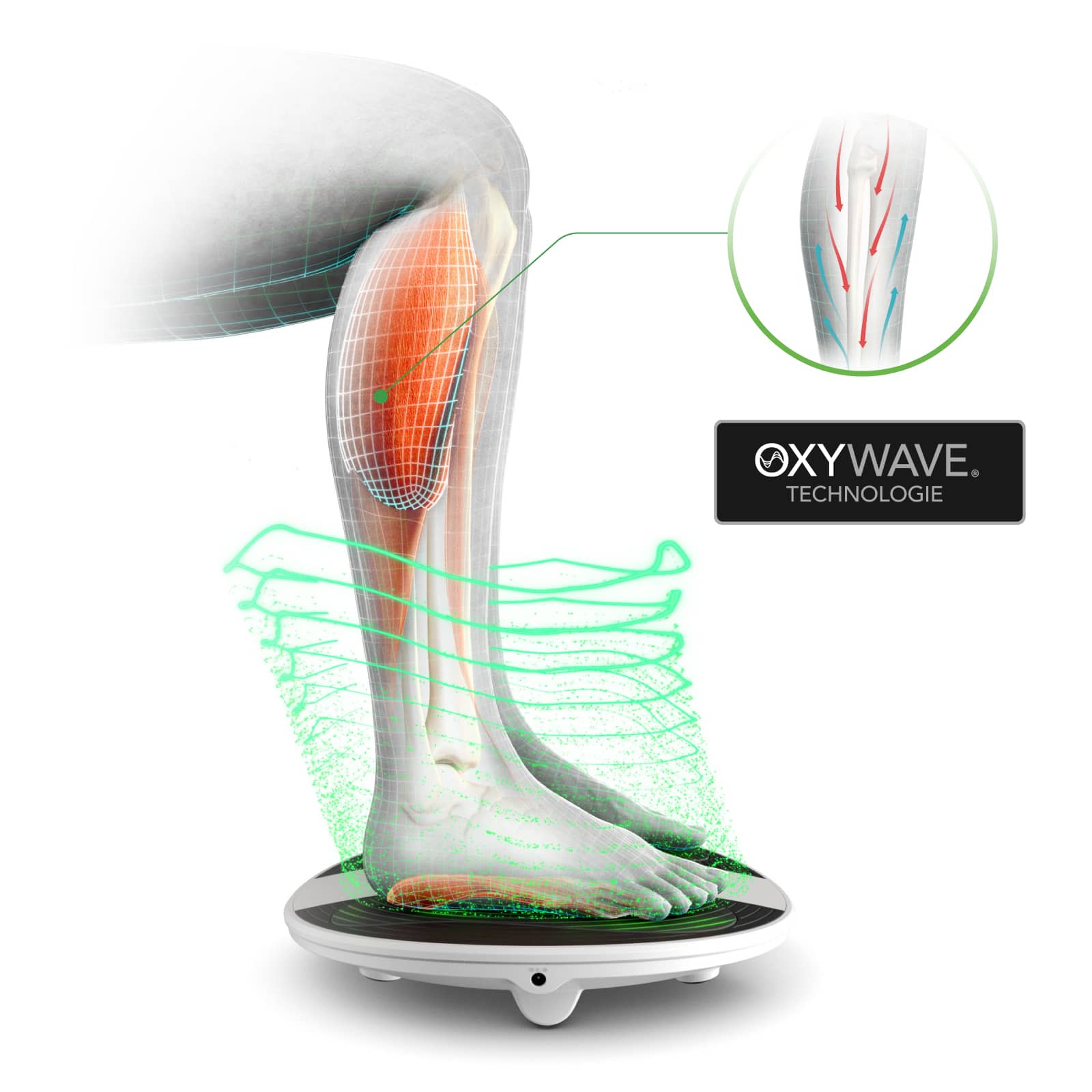 REVITIVE ProHealth Durchblutungs-Stimulator 1 St