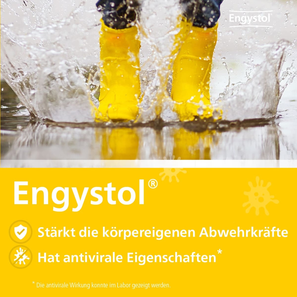 Engystol 250 St Tabletten