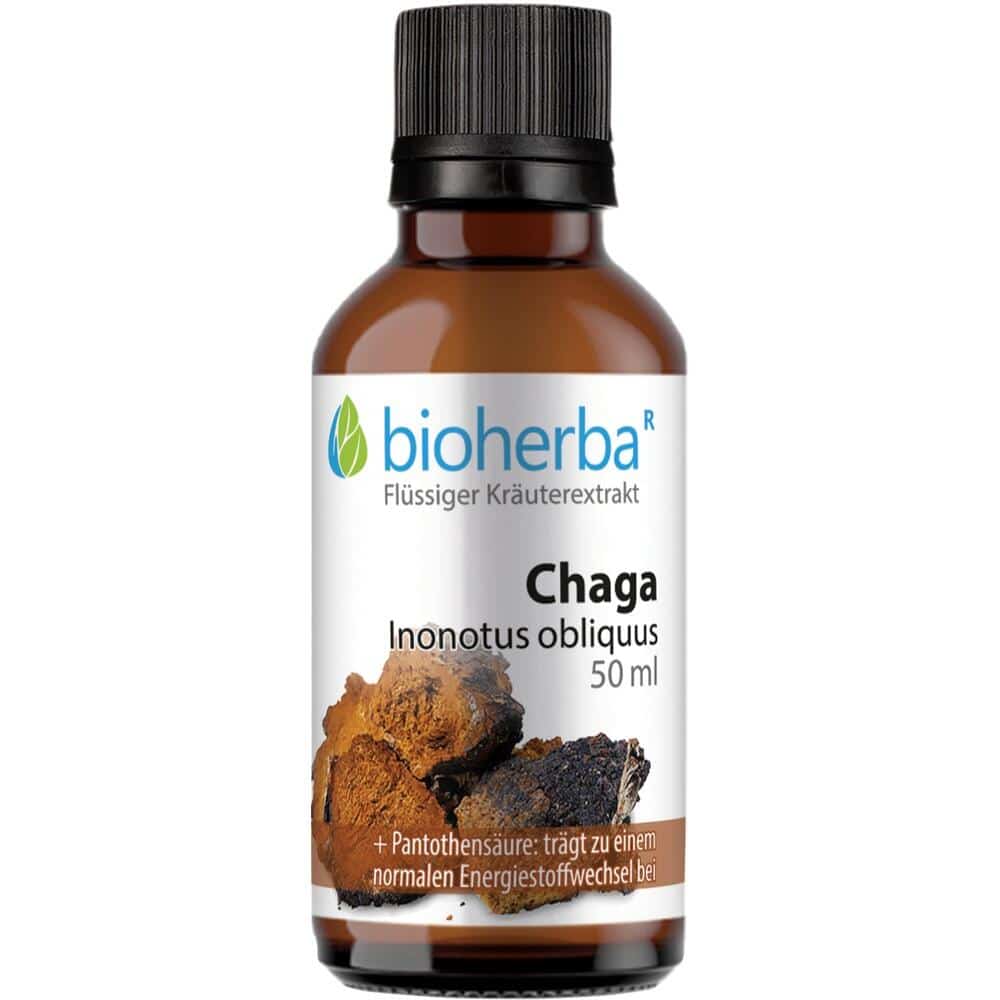 CHAGA INONOTUS OBLIQUUS