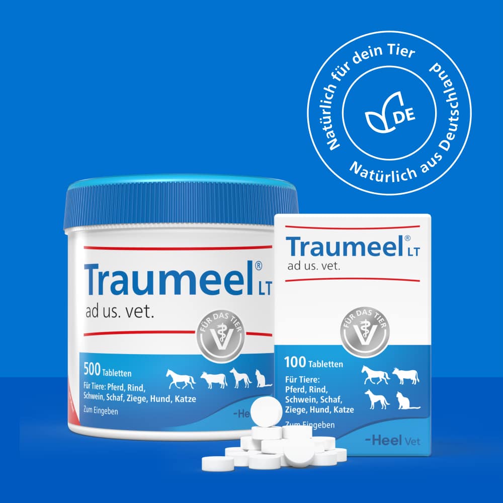 Traumel LT ad us. vet. 500 St Tabletten