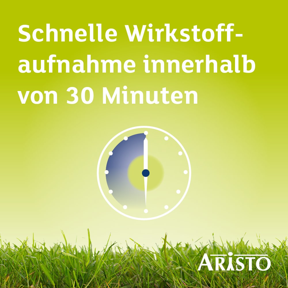 Desloratadin Aristo 5mg Doppelpack 2X100 St Filmtabletten
