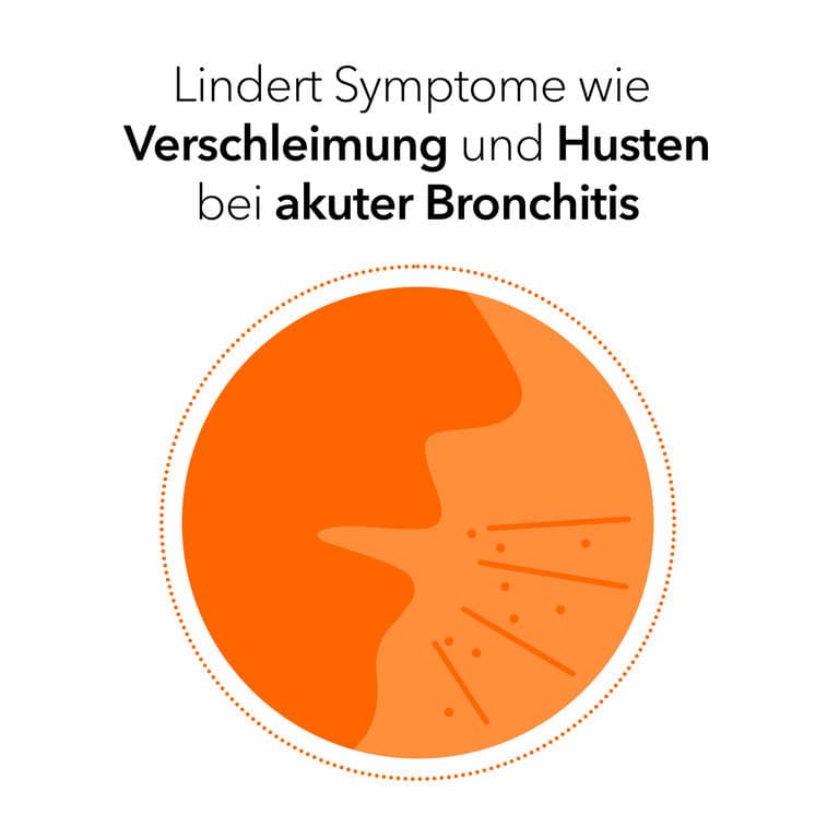 Pelargonium-ratiopharm Bronchialtropfen 50 ml Flüssigkeit