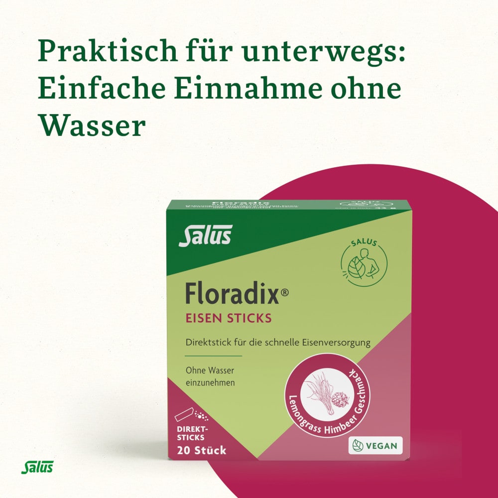 Floradix EISEN STICKS Salus 20 St Pulver