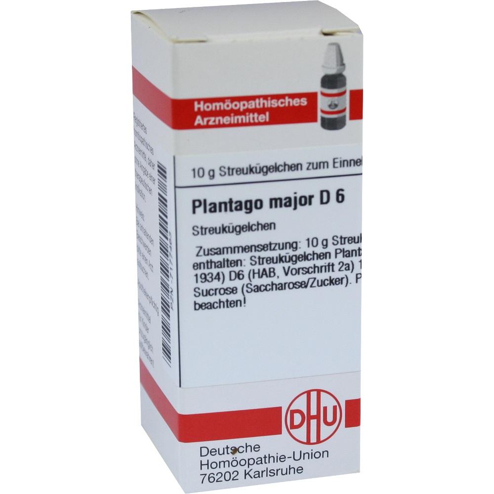 PLANTAGO MAJOR D 6 Globuli 10 g Globuli