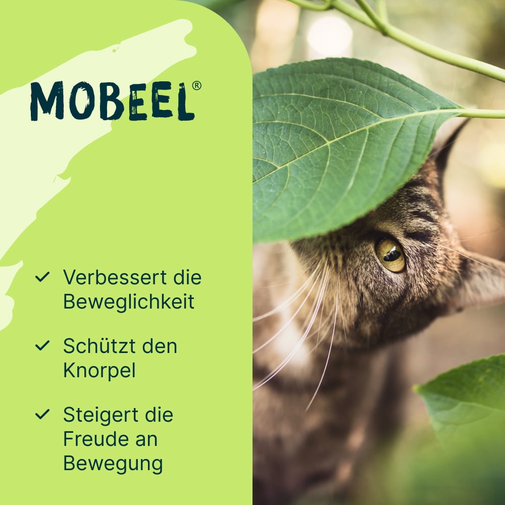 MOBEEL vet. 150 g Pulver