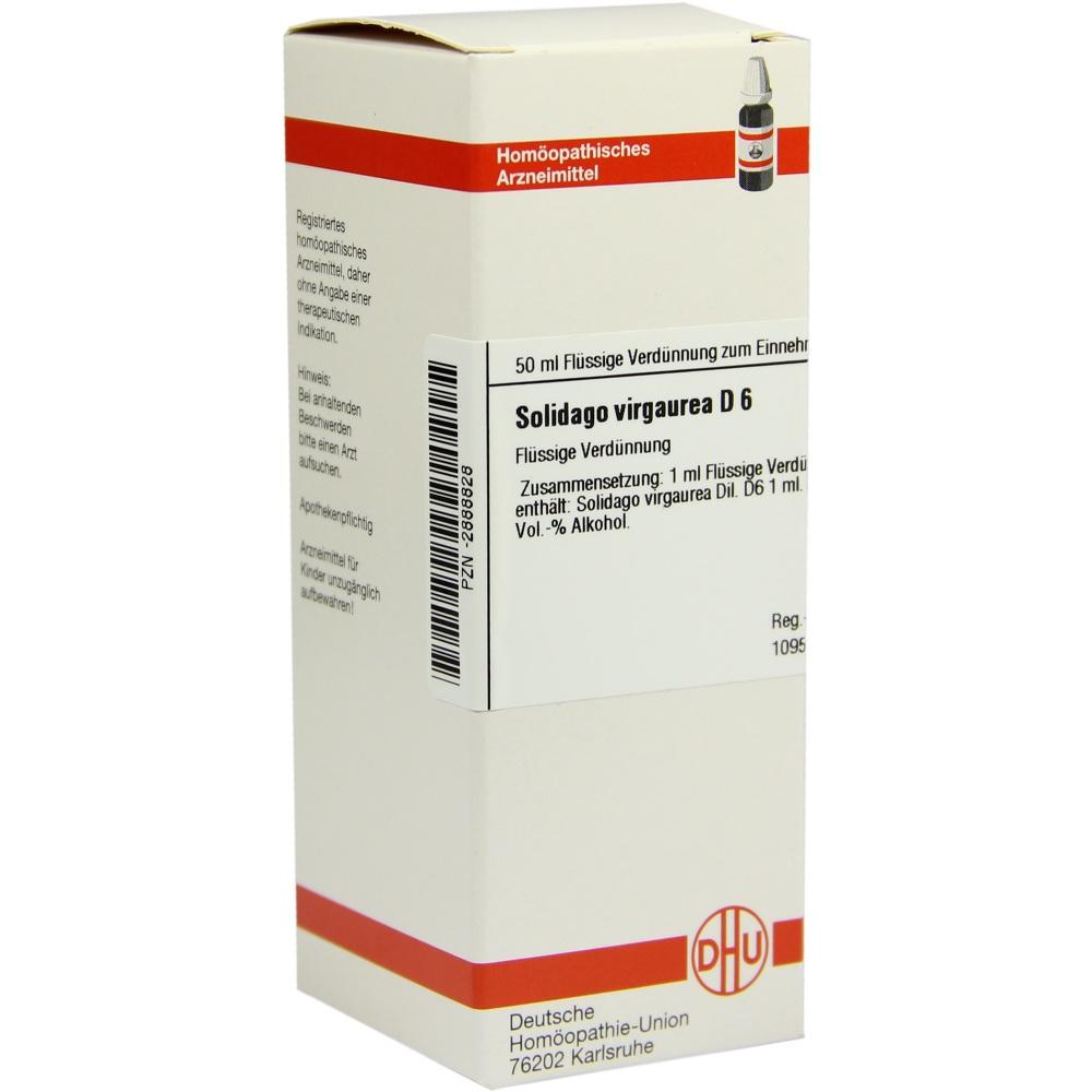 SOLIDAGO VIRGAUREA D 6 Dilution 50 ml Dilution