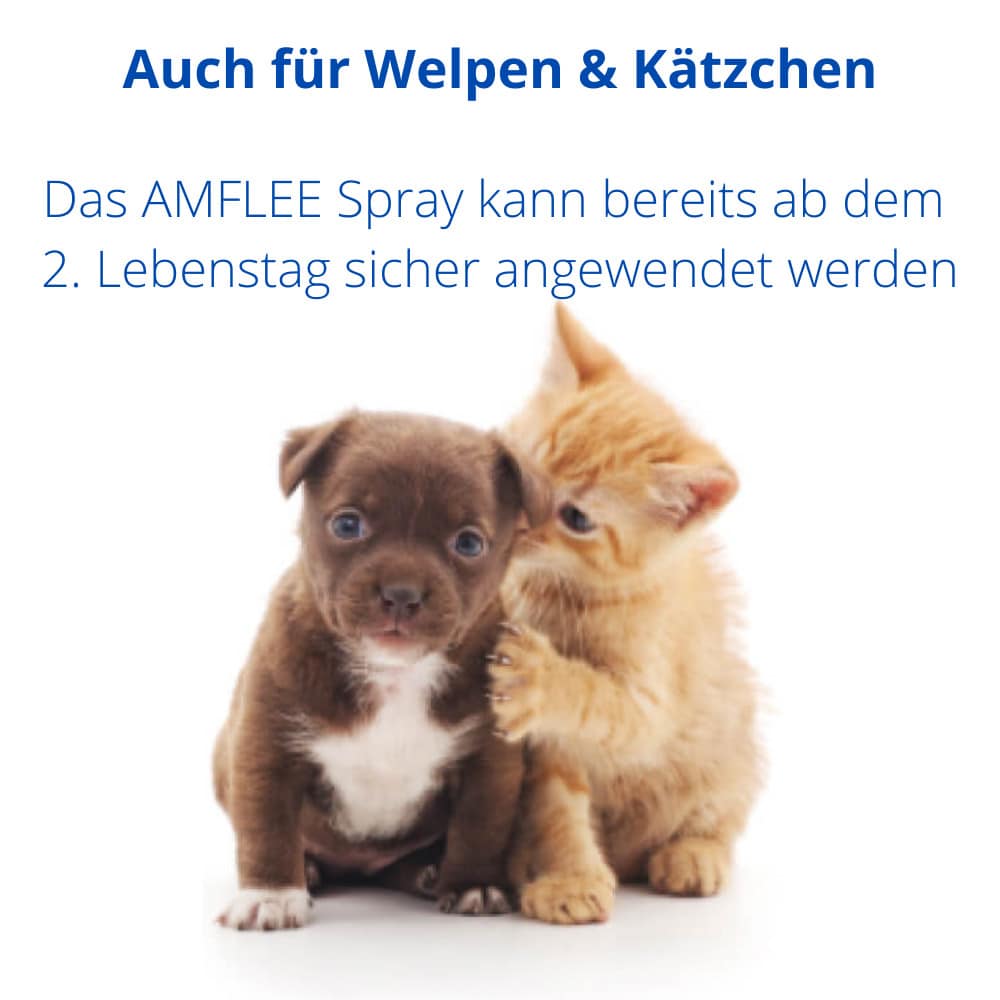 Amflee 2,5 mg/ml Spray Lösung für Hunde/Katzen 100 ml Spray
