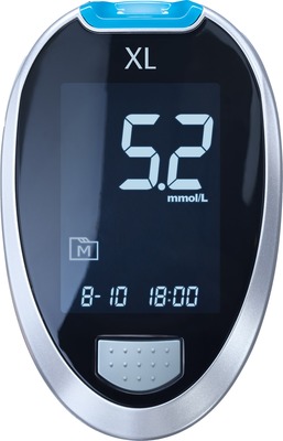 GLUCO CHECK XL Blutzuckermessgerät Set mmol/l 1 St