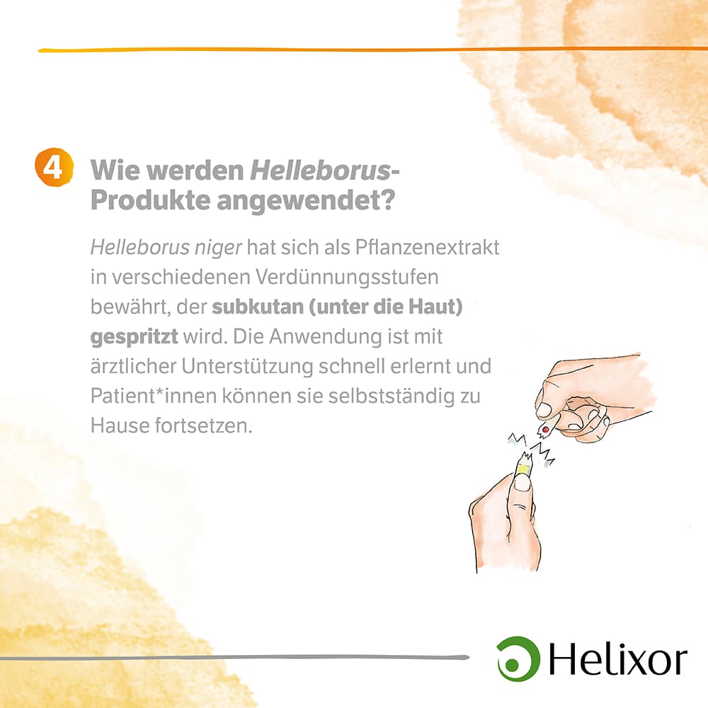 Helleborus foetidus aquos. D4 Ampullen 8X1 ml Ampullen