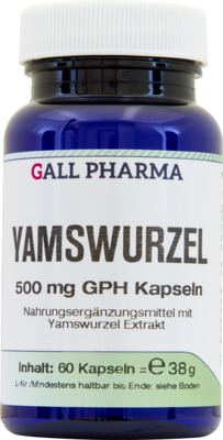 YAMSWURZEL 500 mg GPH Kapseln 120 St Kapseln
