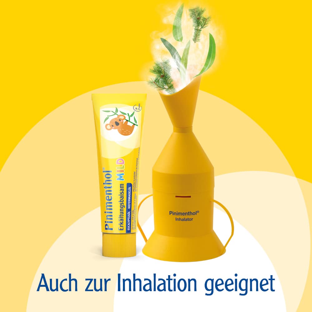 Pinimenthol Erkältungsbalsam mild ab 2 Jahren - mit Eucalyptus- und Kiefernnadelöl 50 g Salbe
