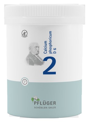 Schüßler-Salz Nr. 2 Calcium phosphoricum D6 1000 St Tabletten