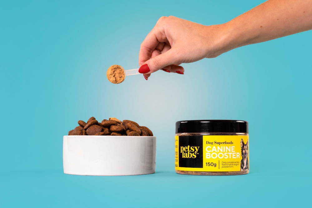petsy labs Dog Superfoods CANINE BOOSTER 150 g Pulver