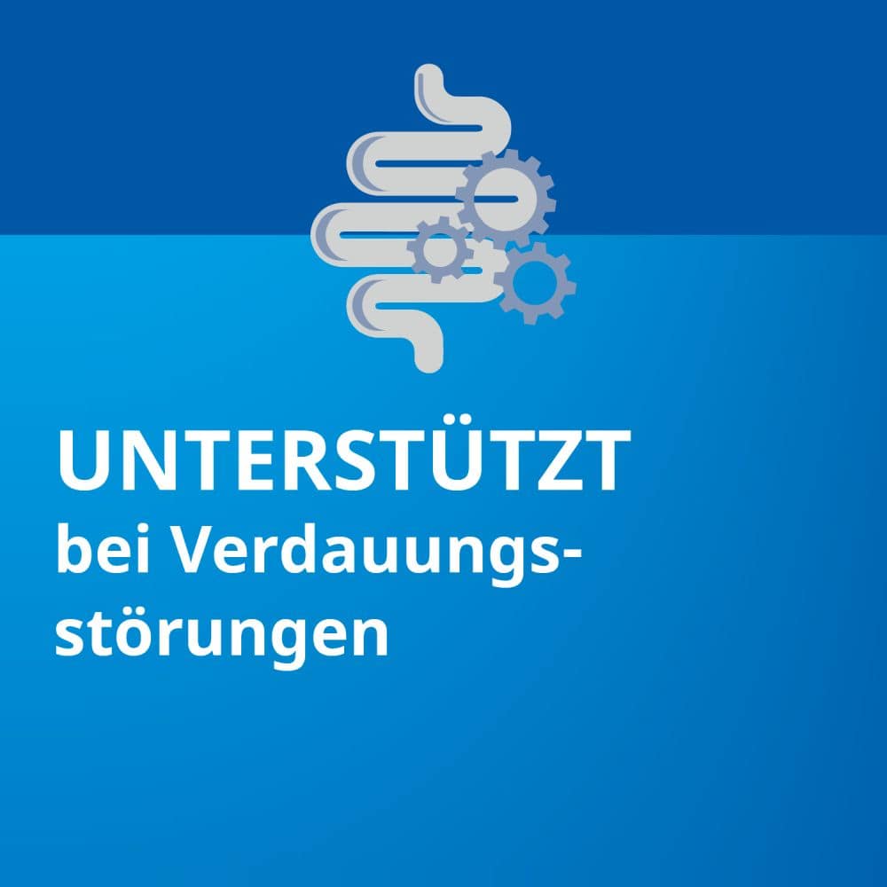Pankreatin STADA 20000 50 St Magensaftresistente Hartkapseln
