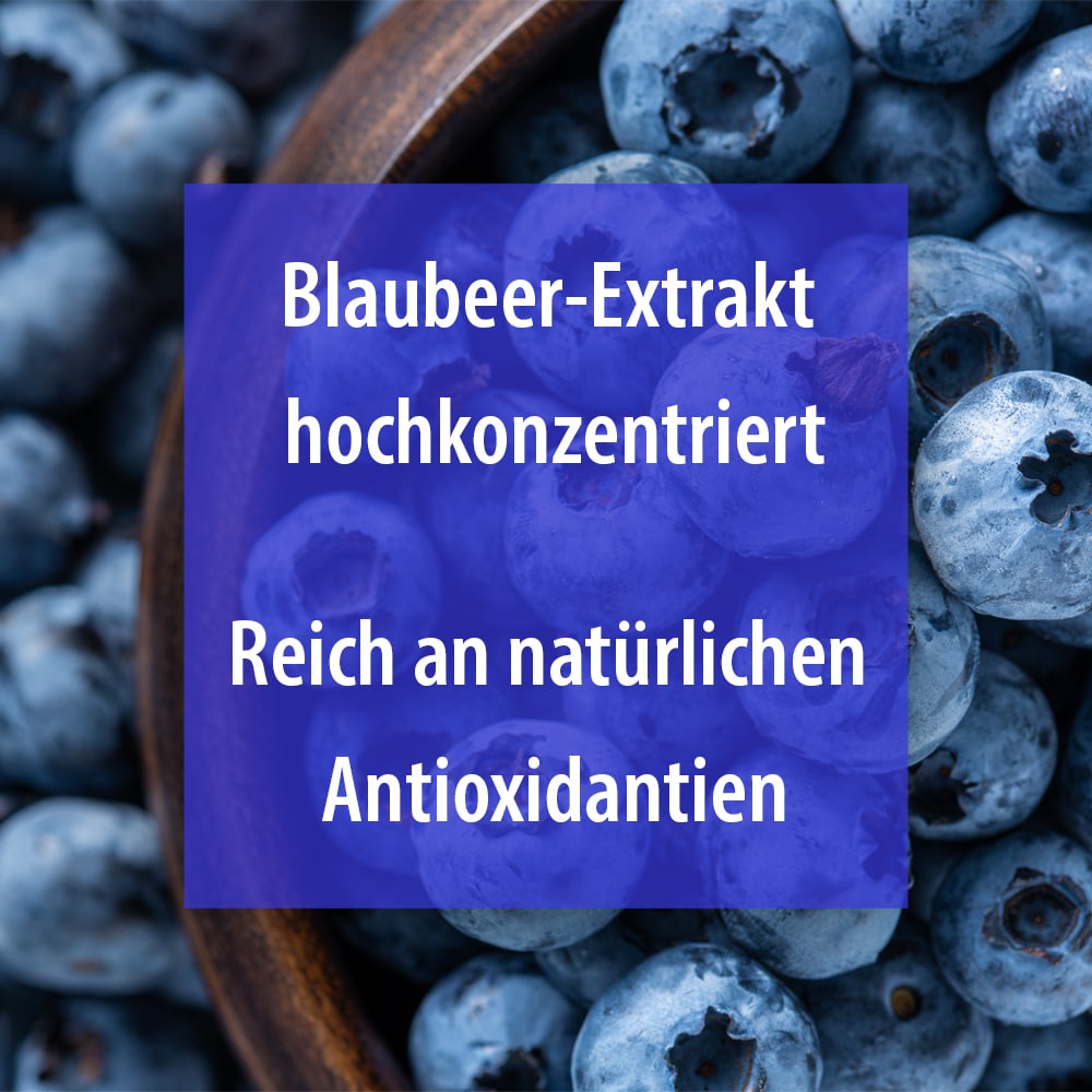 BLAUBEER Kapseln 60 St Kapseln