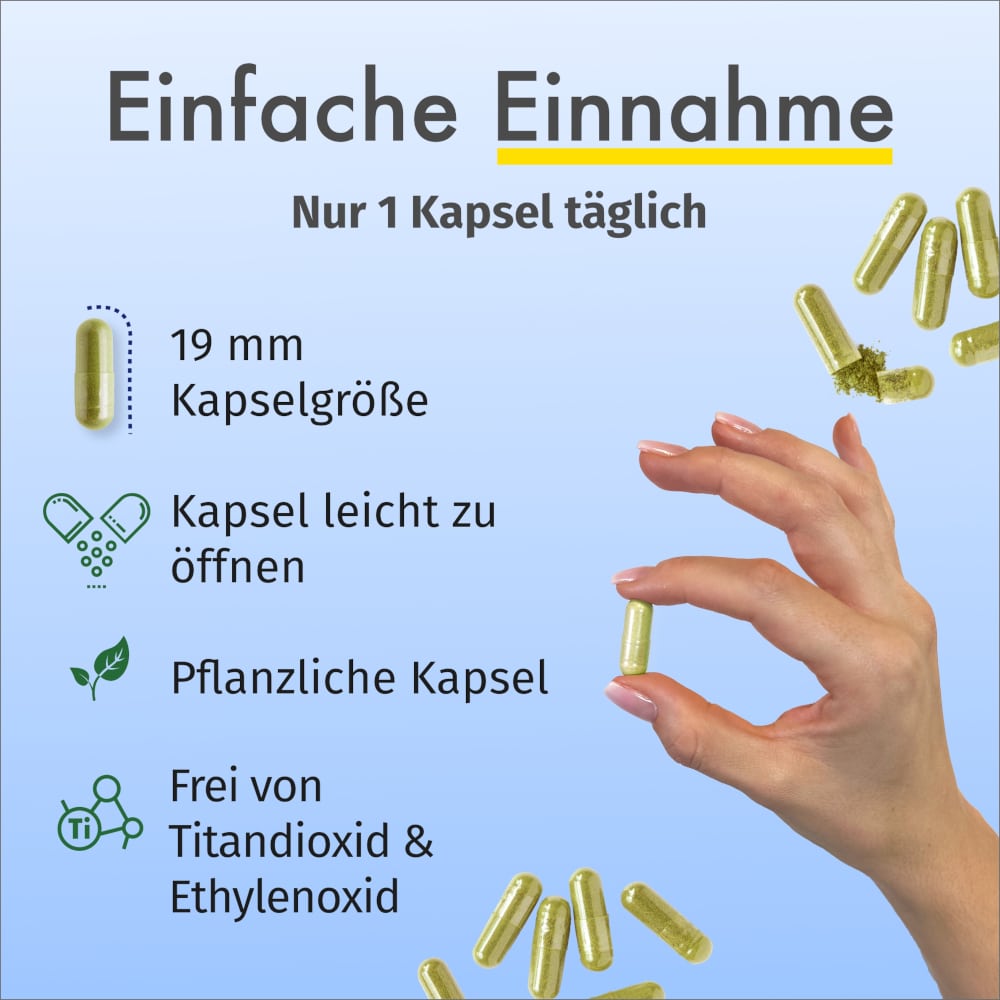GREEN NATURALS Jod 200ug 365 St Kapseln