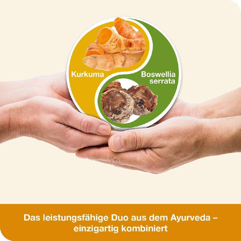 curcumin-Loges plus Boswellia 120 St Kapseln