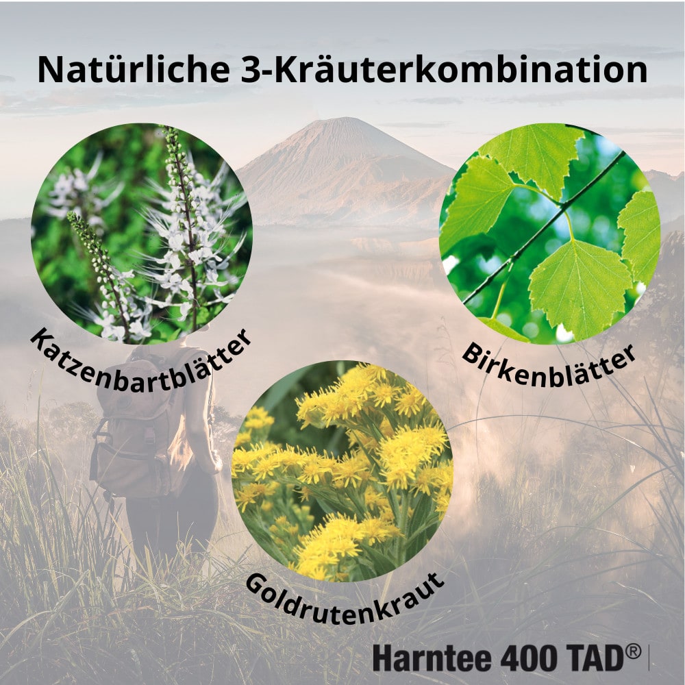 Harntee 400 TAD N Blasen- und Nierentee 300 ml Granulat