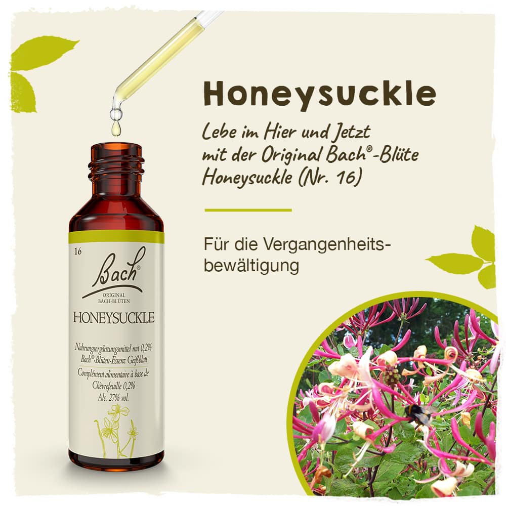 BACHBLÜTEN Original Honeysuckle Nr.16 20 ml Tropfen