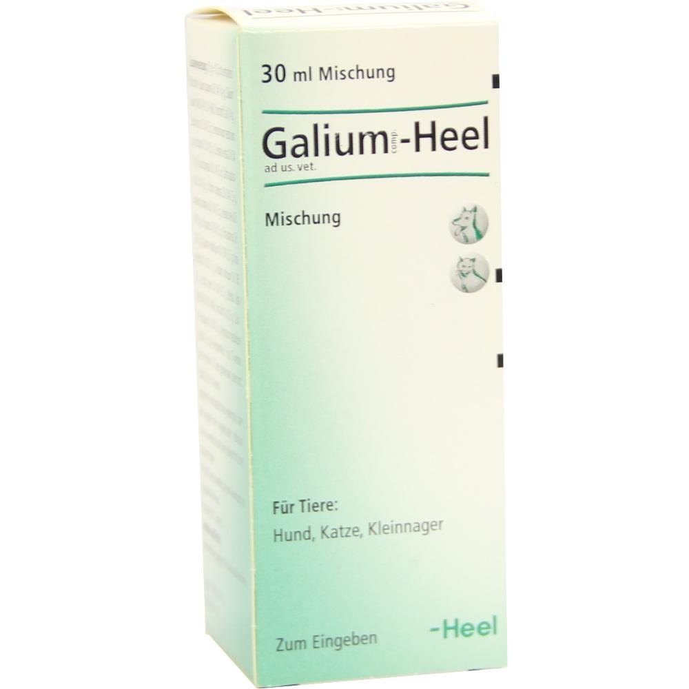 Galium comp.-Heel ad us. vet.  30 ml Tropfen