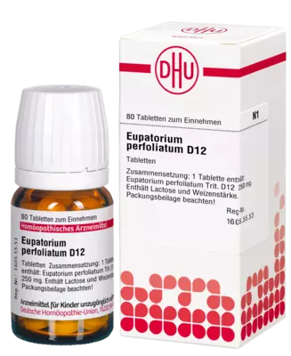 EUPATORIUM PERFOLIATUM D 12 Tabletten 80 St Tabletten