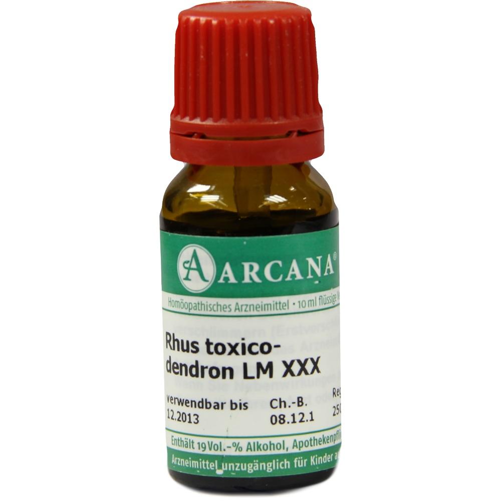 RHUS TOXICODENDRON LM 30 Dilution 10 ml Dilution