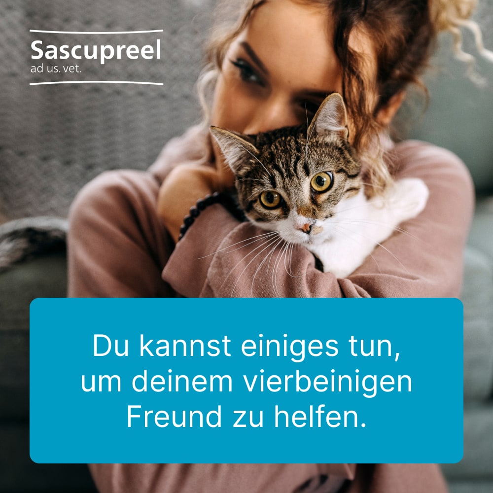 Sascupreel ad us. vet. 500 St Tabletten