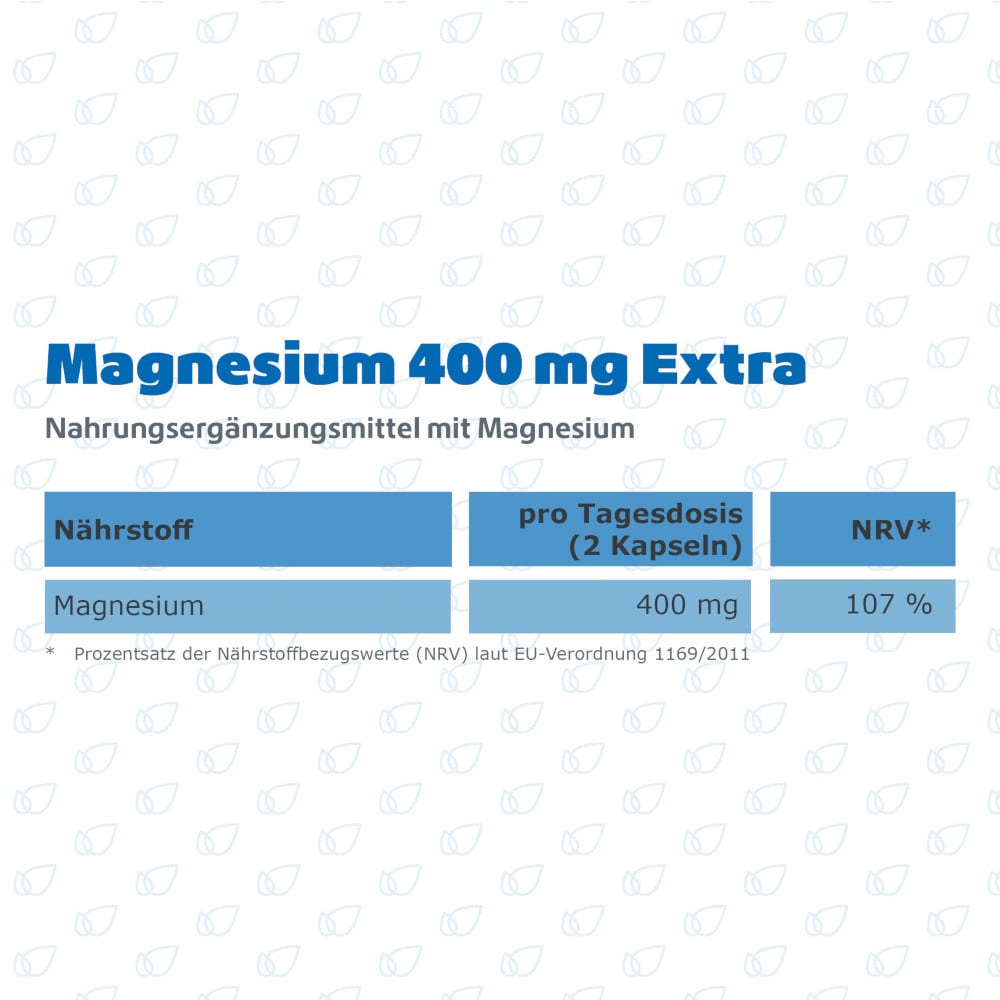 R(h)ein Nutrition Magnesium 400 mg Extra 120 St Kapseln