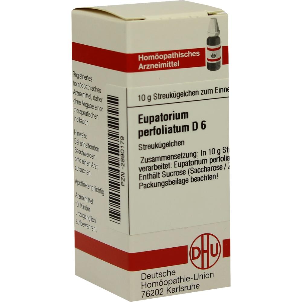 EUPATORIUM PERFOLIATUM D 6 Globuli 10 g Globuli