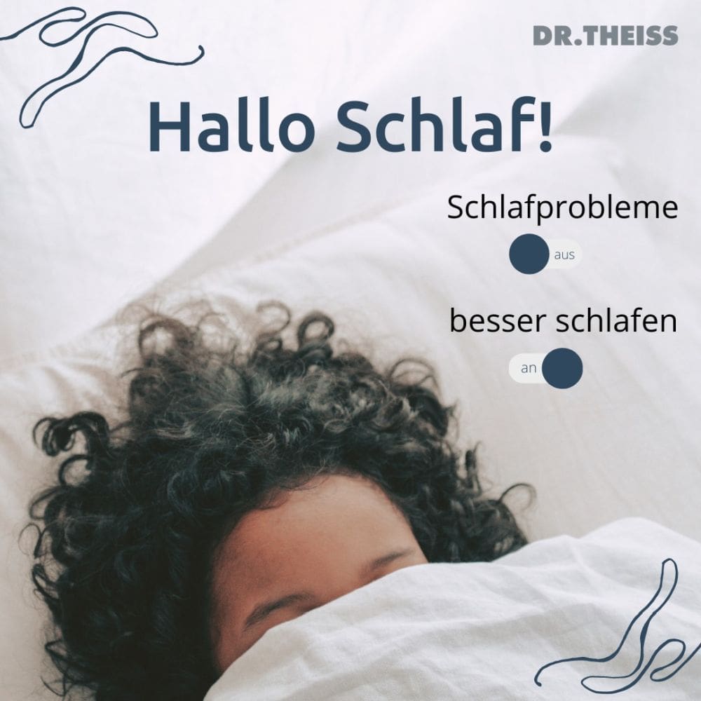 DR.THEISS MELATONIN EINSCHLAF-SPRAY 50 ml Spray