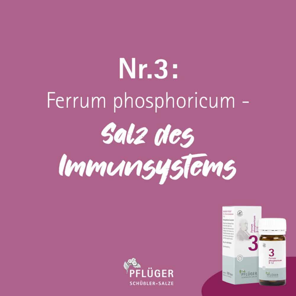 Schüßler-Salz Nr. 3 Ferrum phosphoricum D12 100 g Pulver