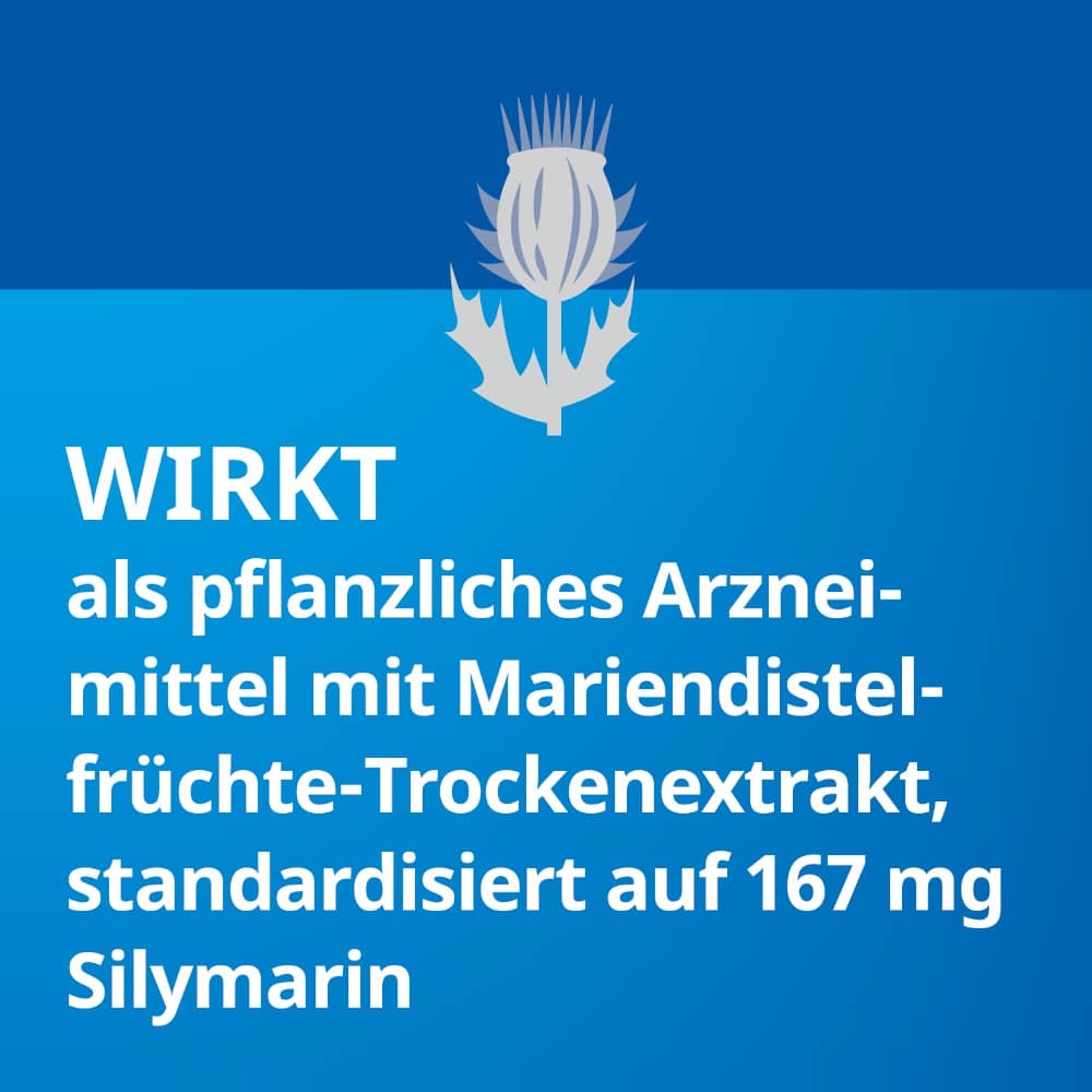 Silymarin STADA forte  100 St Hartkapseln