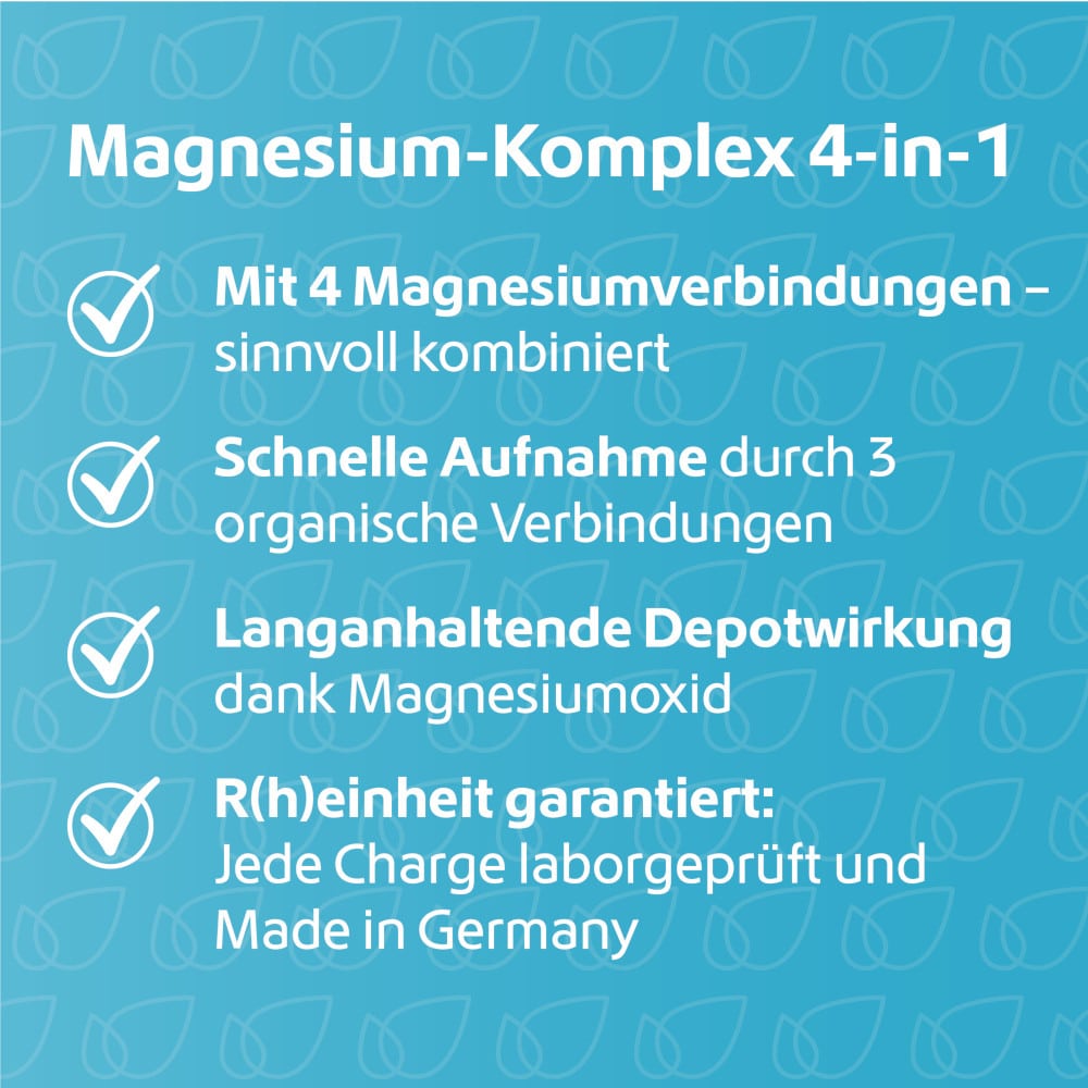 R(h)ein Nutrition Magnesium Komplex 4 in 1 hochdosiert 120 St Kapseln