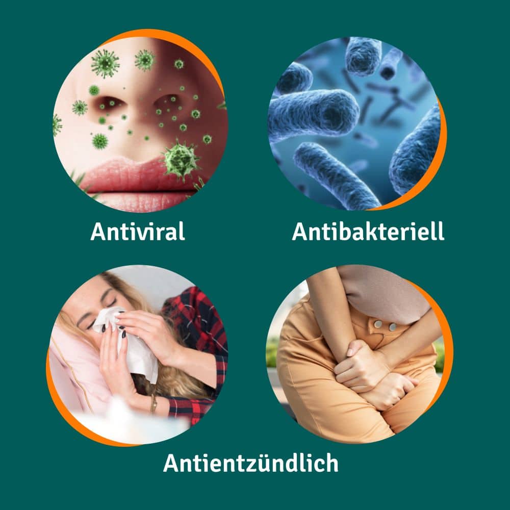 ANGOCIN Anti-Infekt N  500 St Filmtabletten
