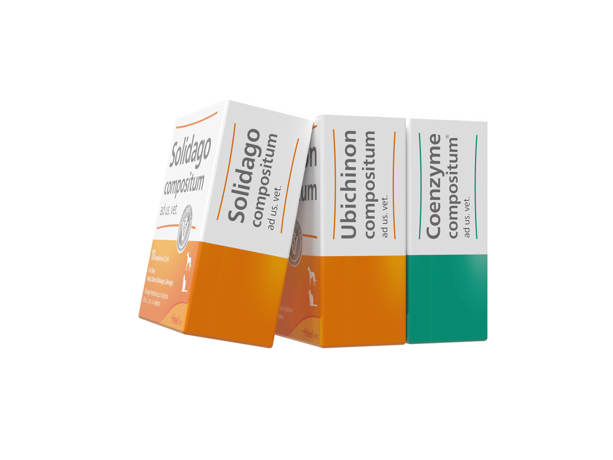 Heel Vet SUC-Bundle 1 Sparset