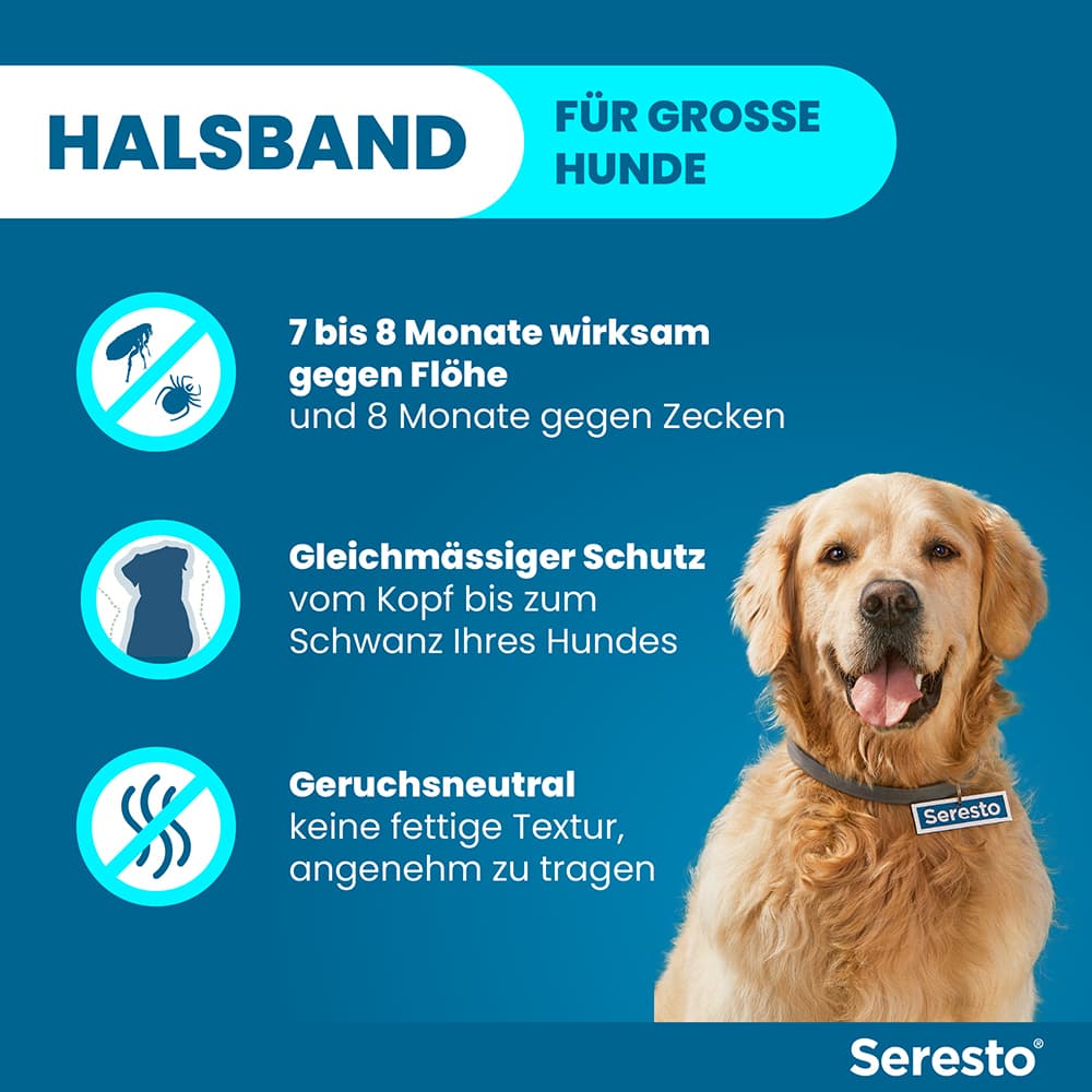 Seresto Halsband für große Hunde ab 8 kg 1 St Halsband
