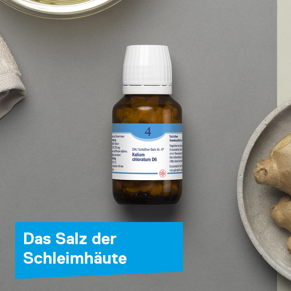 DHU Schüßler-Salz Nr. 4 Kalium chloratum D6  420 St Tabletten