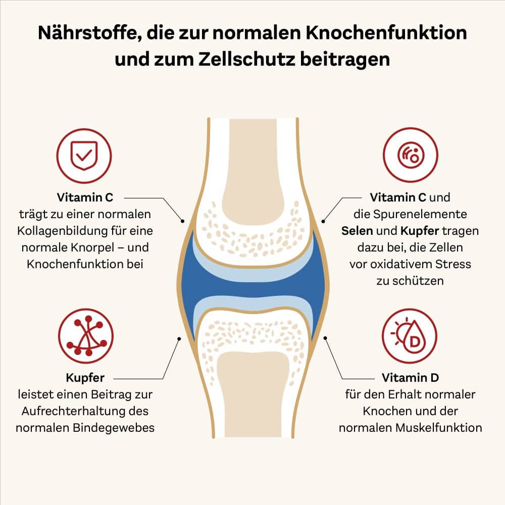 Doppelherz system KOLLAGEN 11.000 PLUS VITAMIN C + D 30X25 ml Ampullen