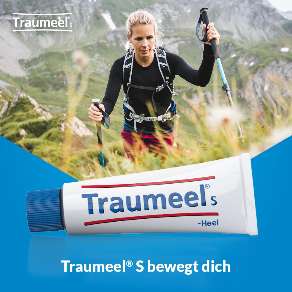 Traumeel S Creme Doppelpack  2X100 g Creme