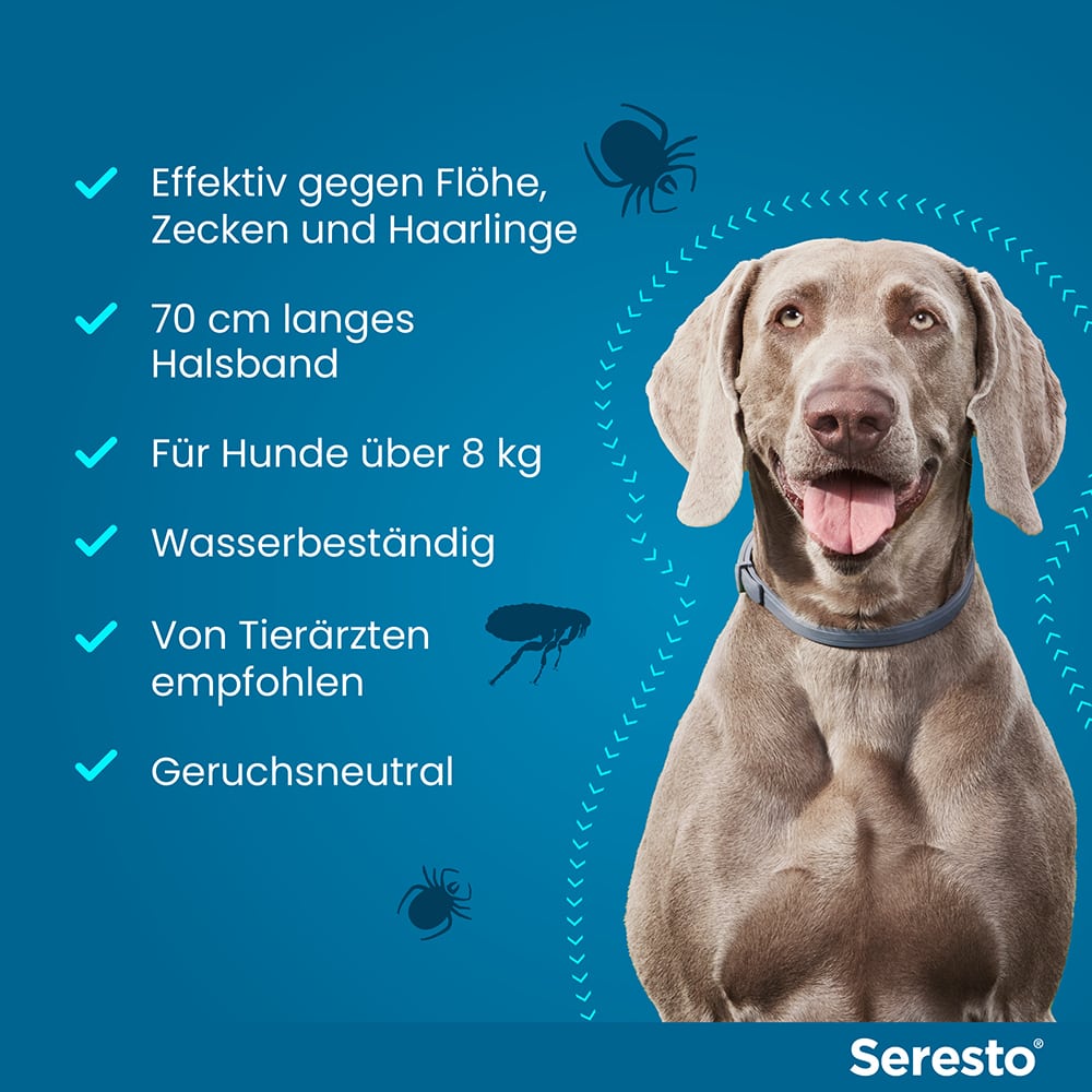 Seresto Halsband für große Hunde ab 8 kg 1 St Halsband