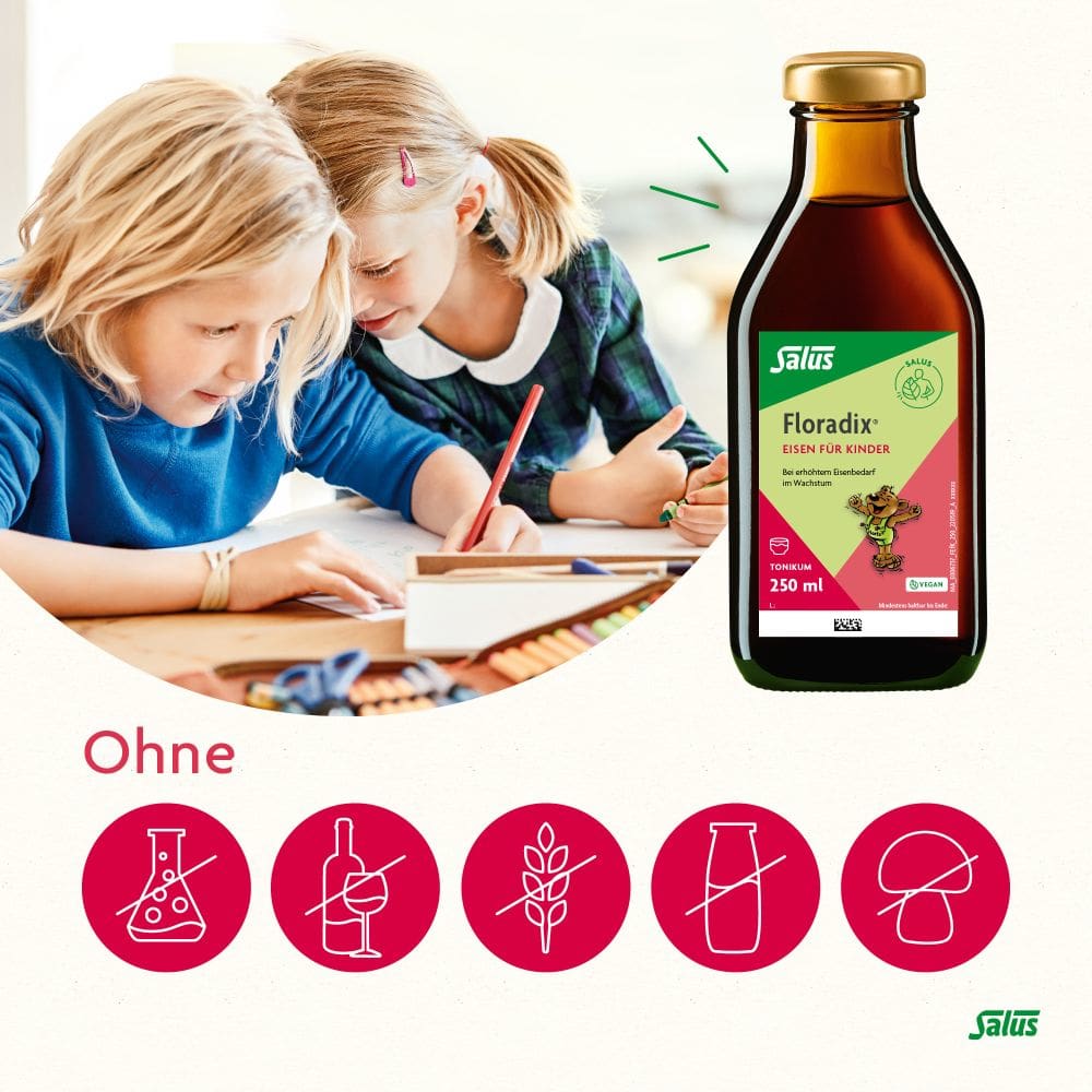 Floradix Eisen für Kinder Tonikum 250 ml Tonikum