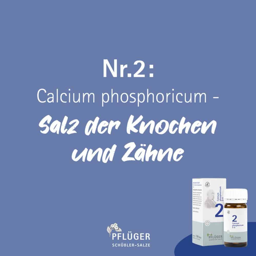 Schüßler-Salz Nr. 2 Calcium phosphoricum D6 100 g Pulver