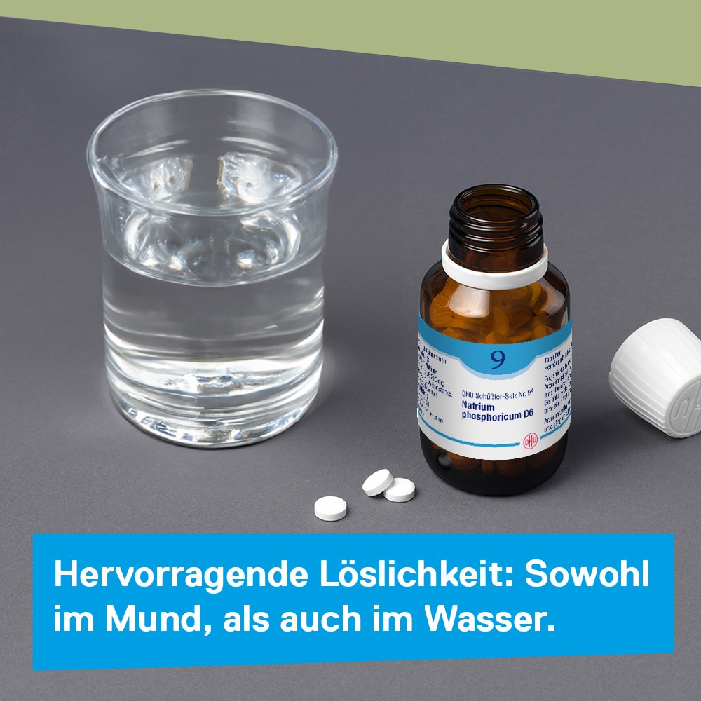 DHU Schüßler-Salz Nr. 9 Natrium phosphoricum D6 420 St Tabletten