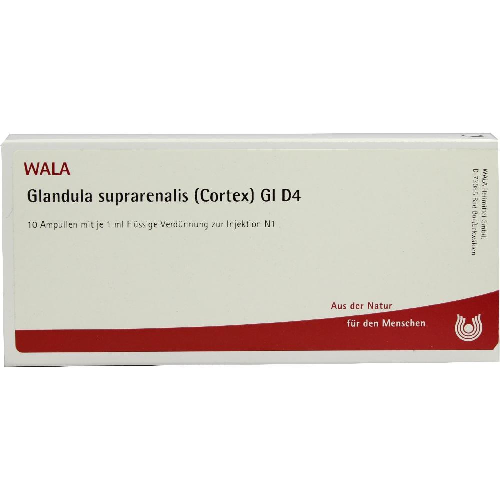 Glandula suprarenalis (Cortex) Gl D4 Ampullen 10X1 ml Ampullen