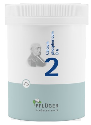 Schüßler-Salz Nr. 2 Calcium phosphoricum D6 250 g Pulver